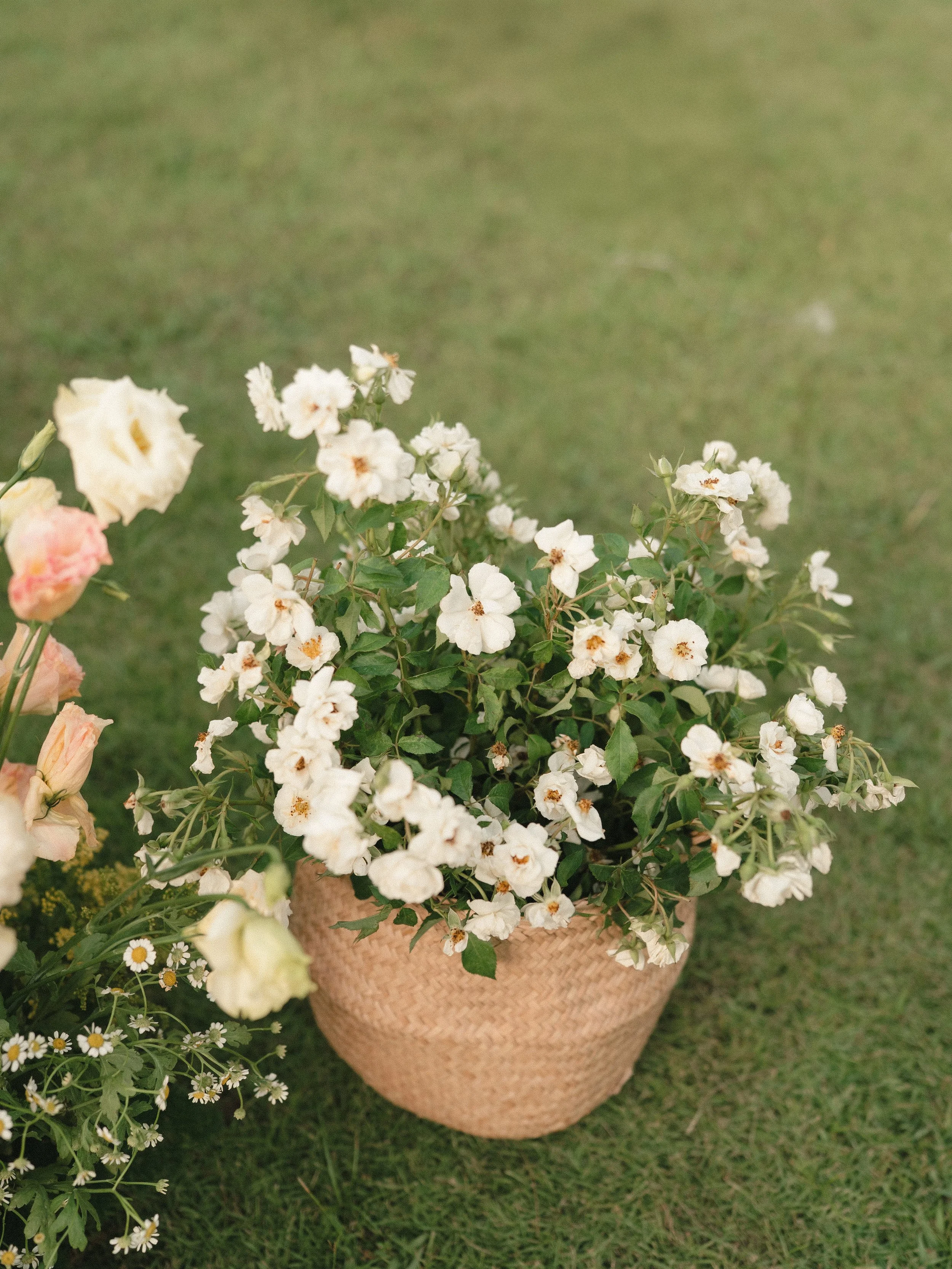 LUAN & HAN CER 7166.JPG