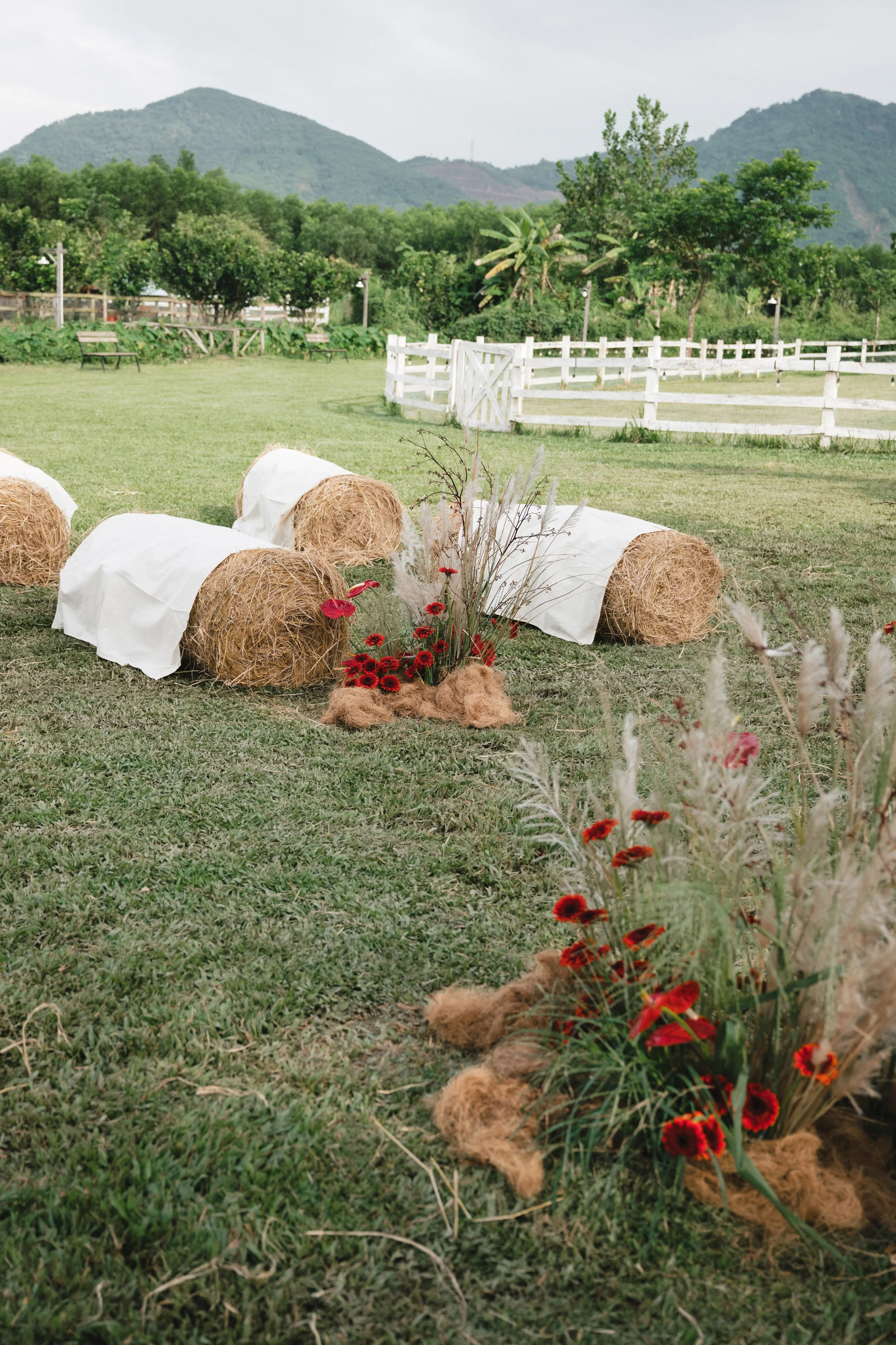 DES TRANG & HUNG 1902.jpg