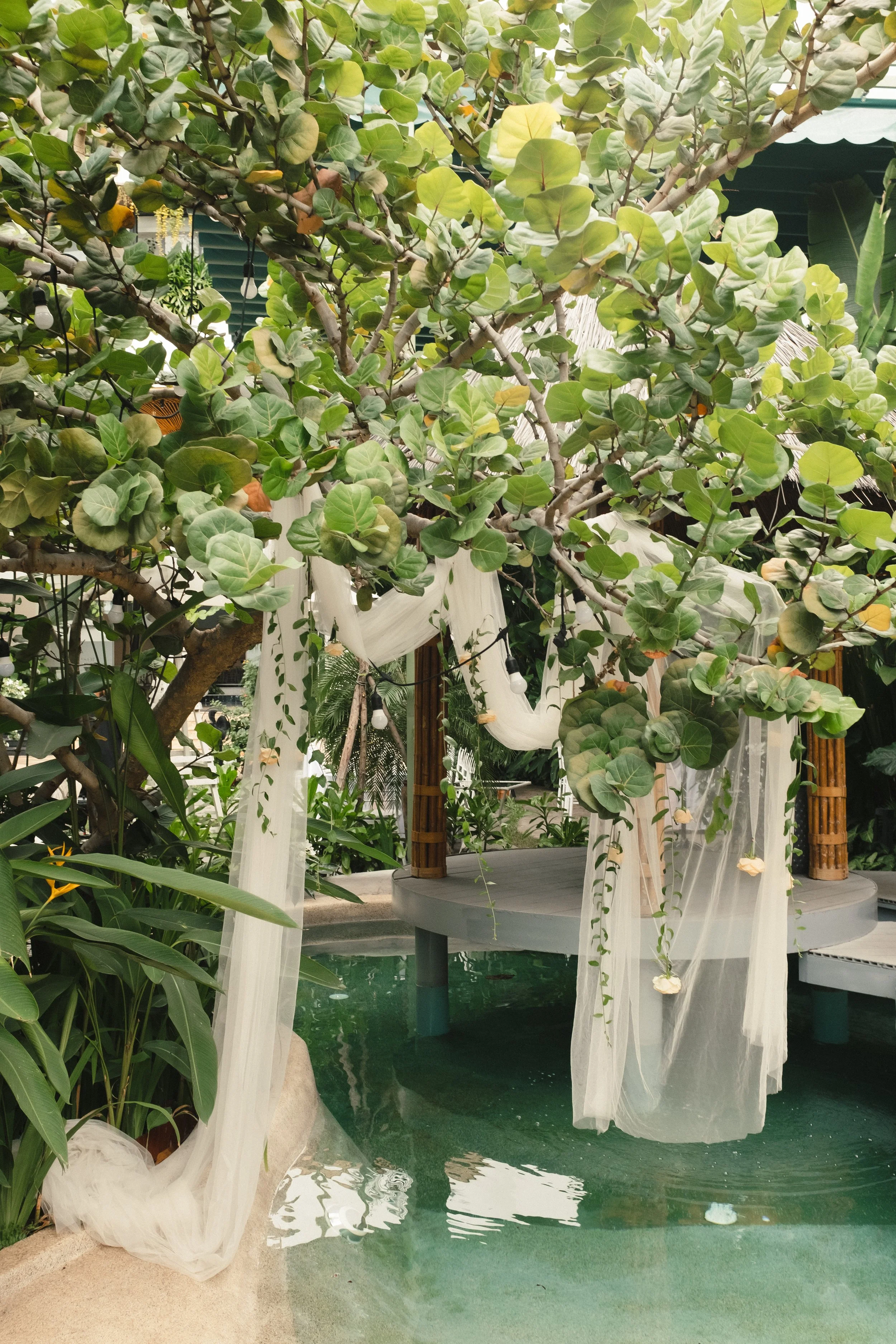 Cer Truc & Huy 3351.JPG