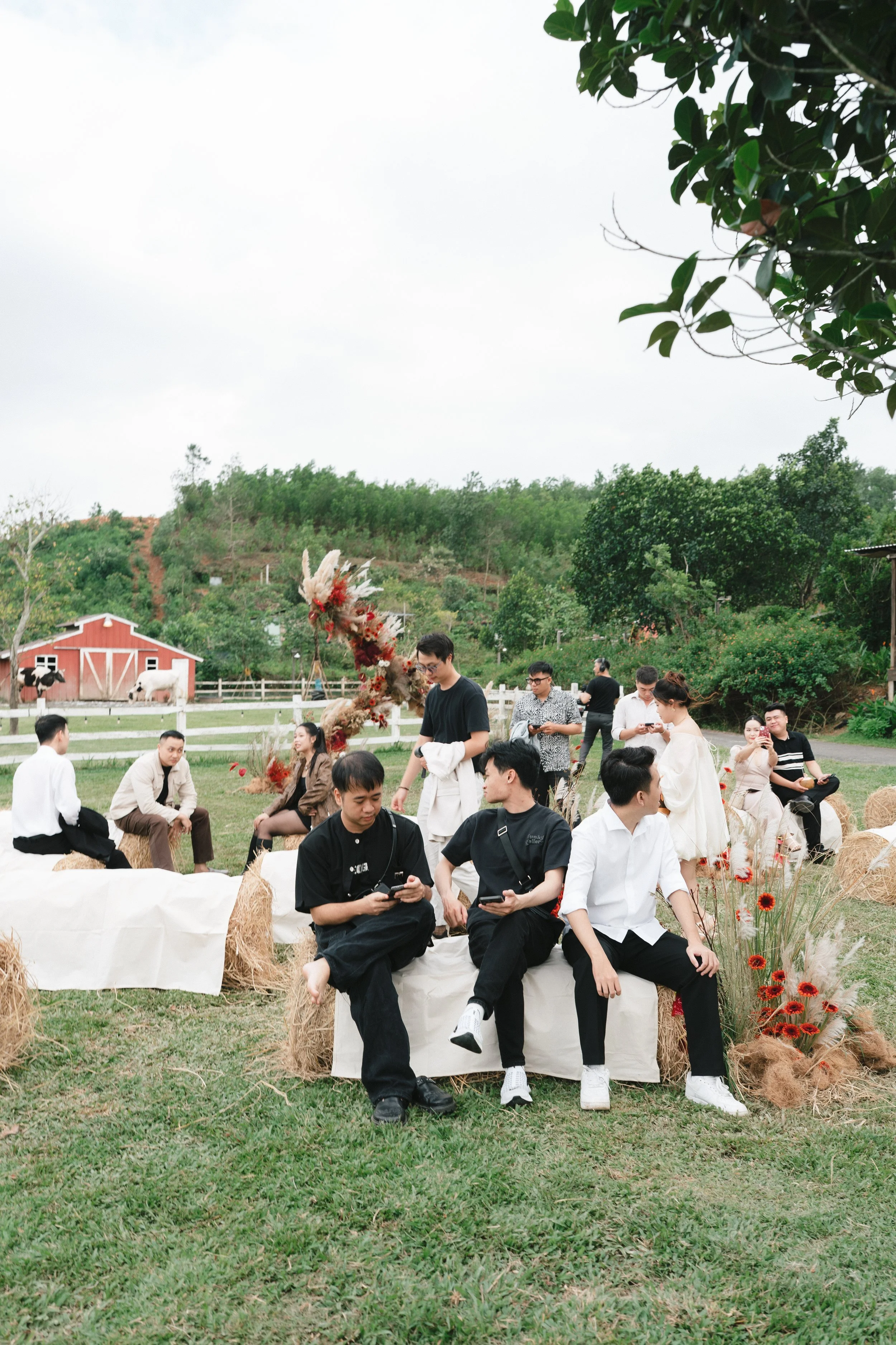 DES TRANG & HUNG 3268.JPG