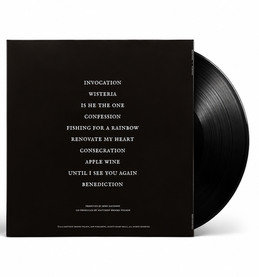 to+the+studs+vinyl+promo.png