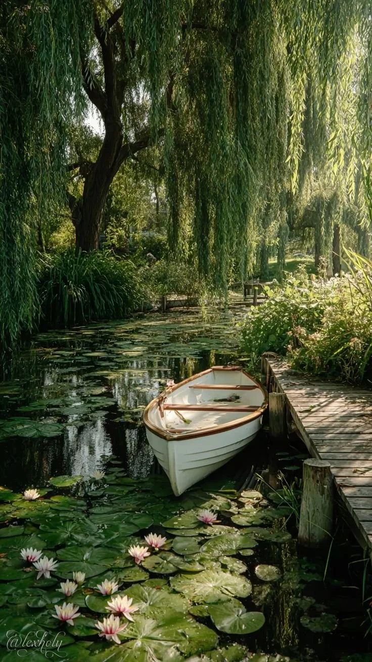 A small white boat is moored next to a wooden dock on a pond surrounded by lush greenery, including weeping willow trees and water lilies.