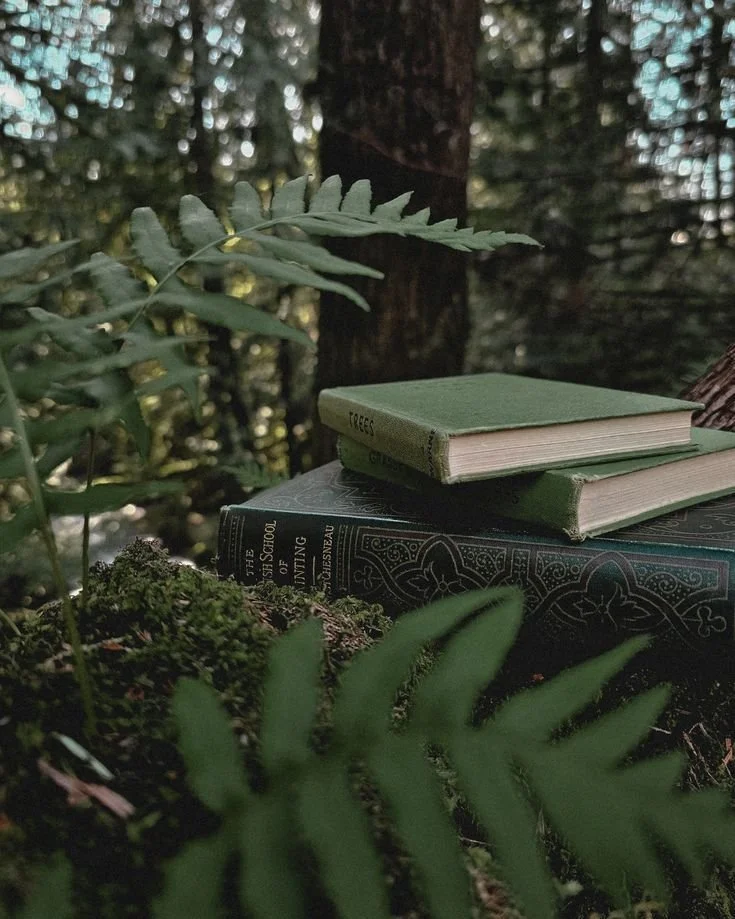 Two green hardcover books resting on a larger dark book, all placed on the forest floor among ferns and moss, with trees and sunlight filtering through the background.