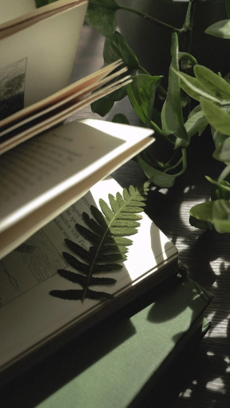 Open book with a fern leaf on the page, surrounded by green plants with shadows cast by sunlight.
