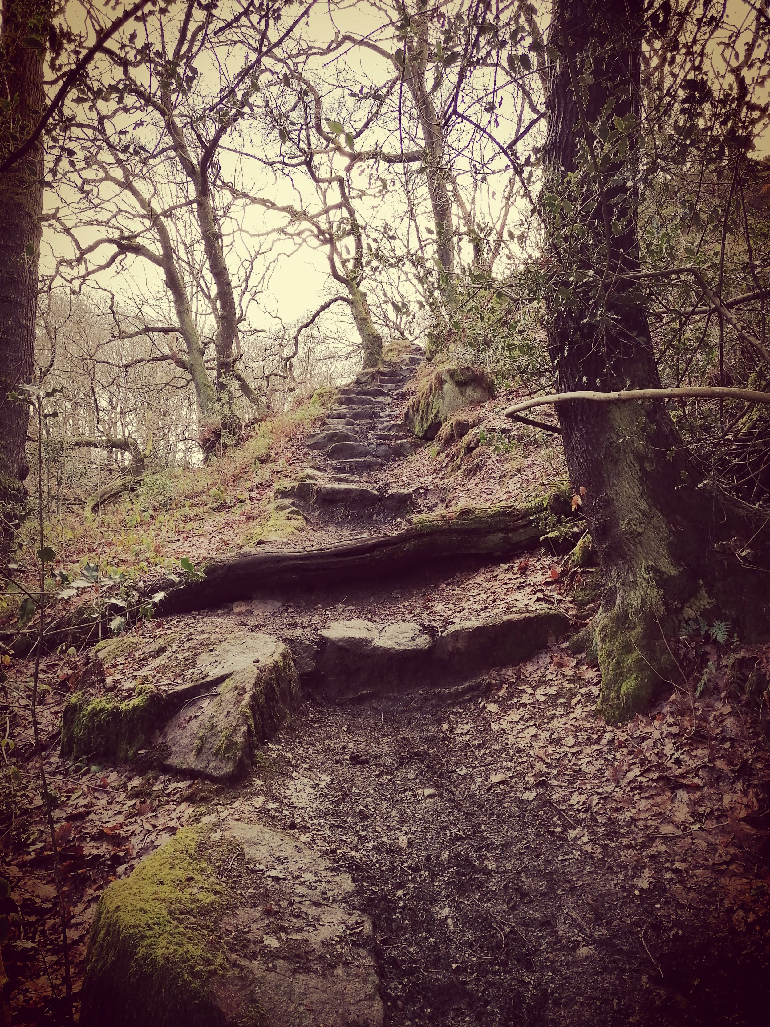 The magic staircase