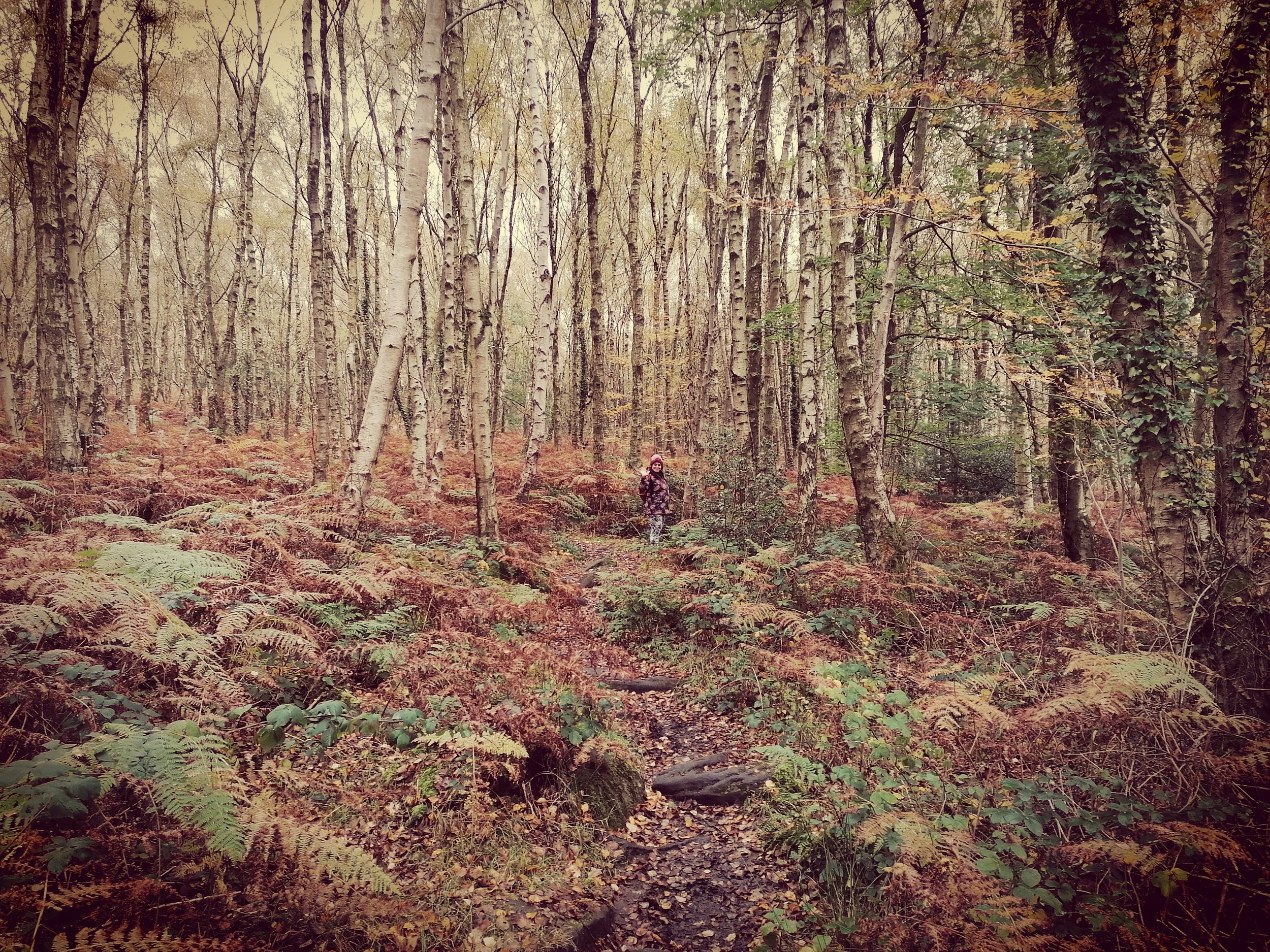 Who is that in the woods?