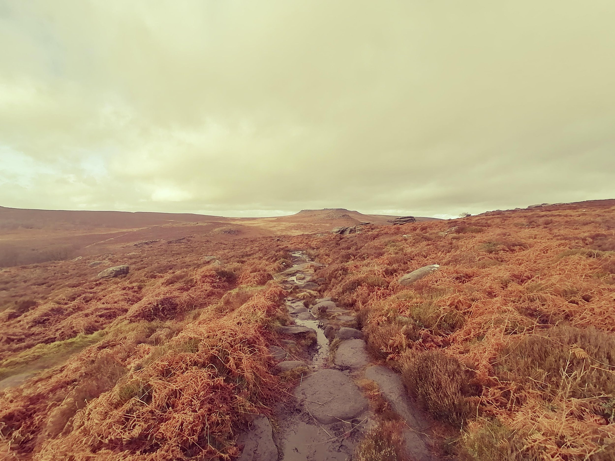 Lonely path across the moors