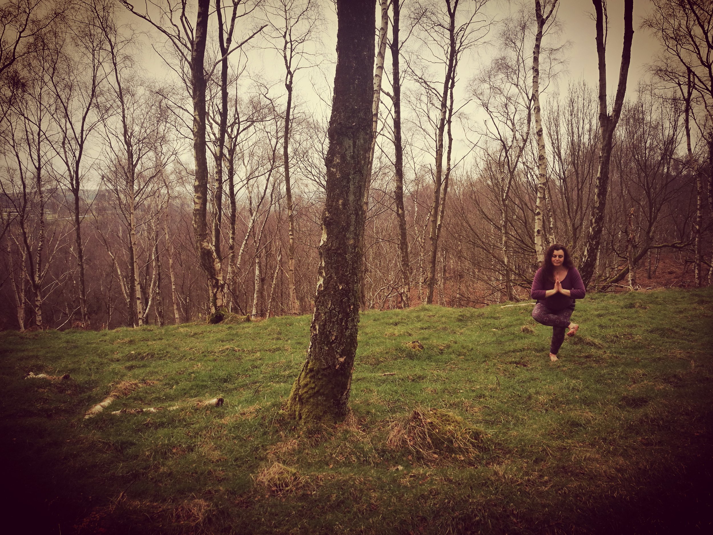 If you go down to the woods today