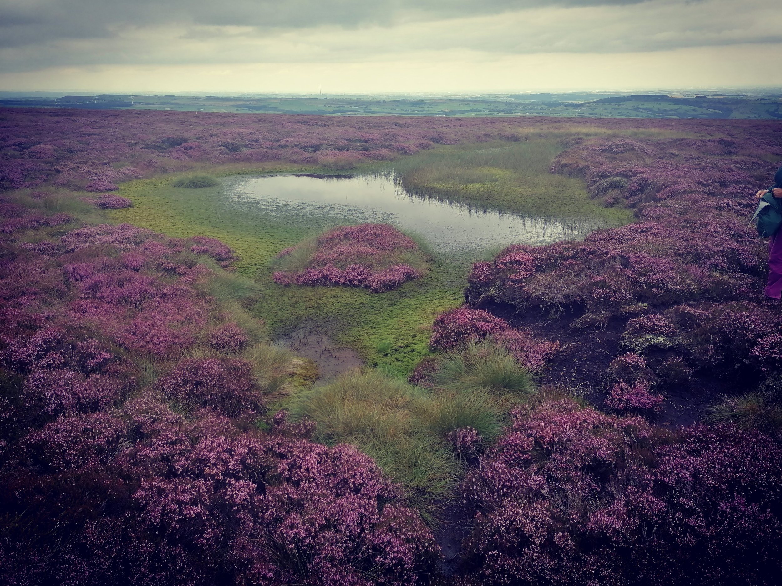 It's the bog of doom!