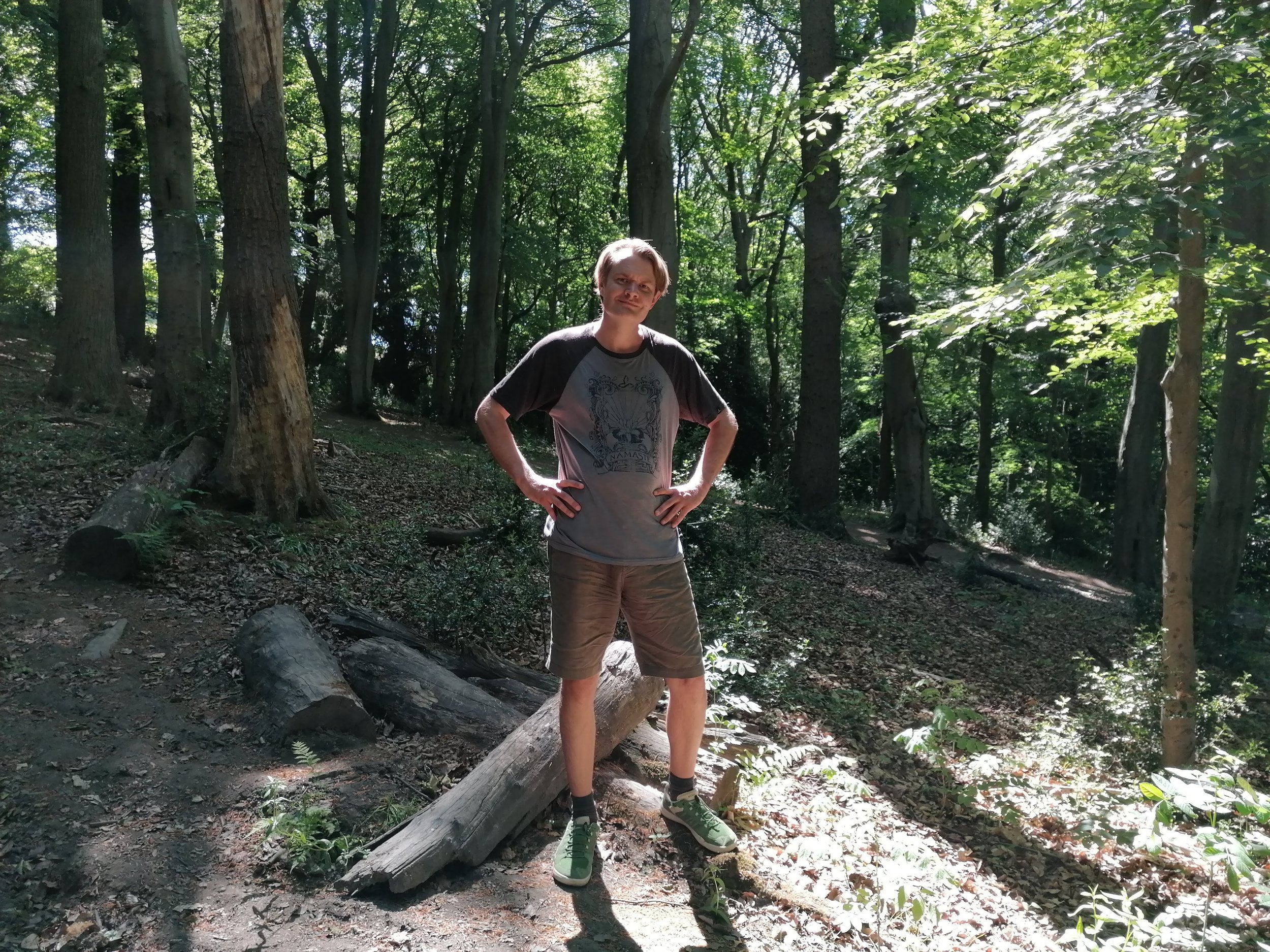 A Ben in the woods
