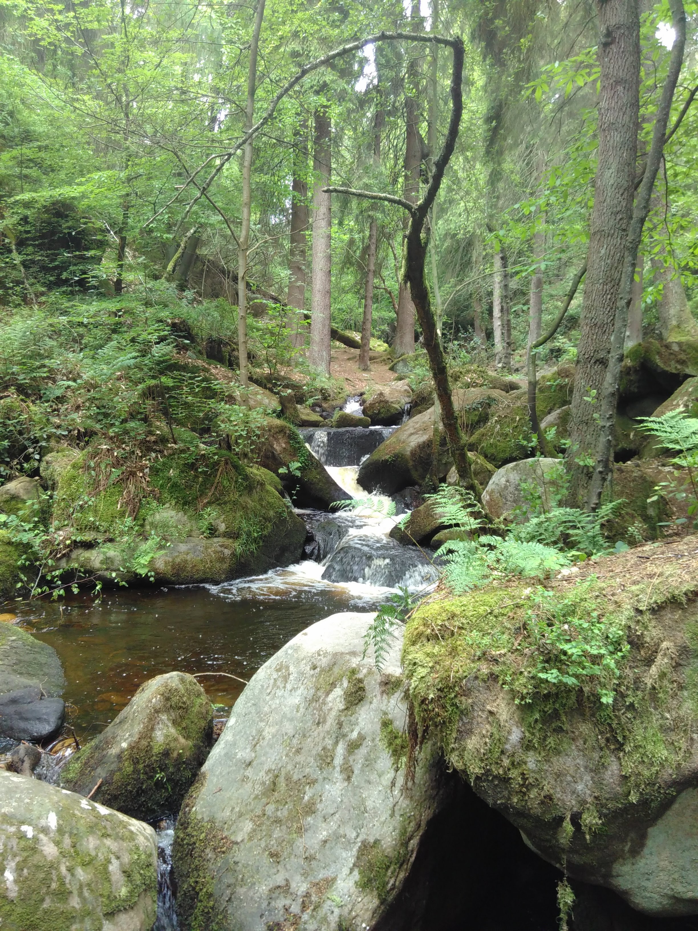 A lovely rocky stream