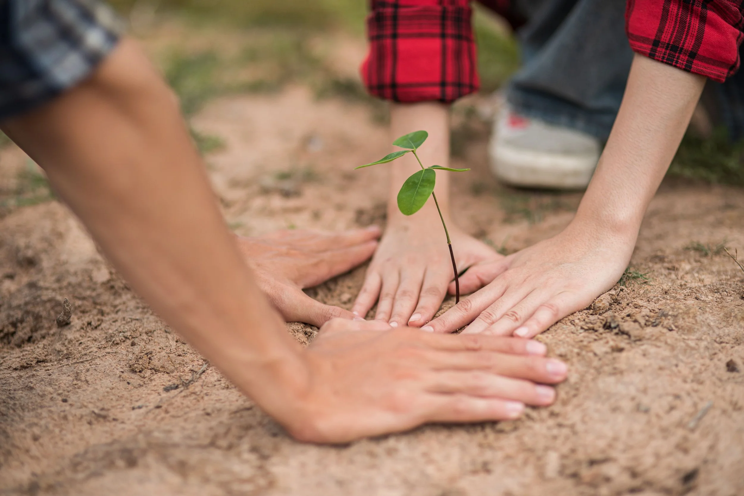 Rooted Behavior Analytics