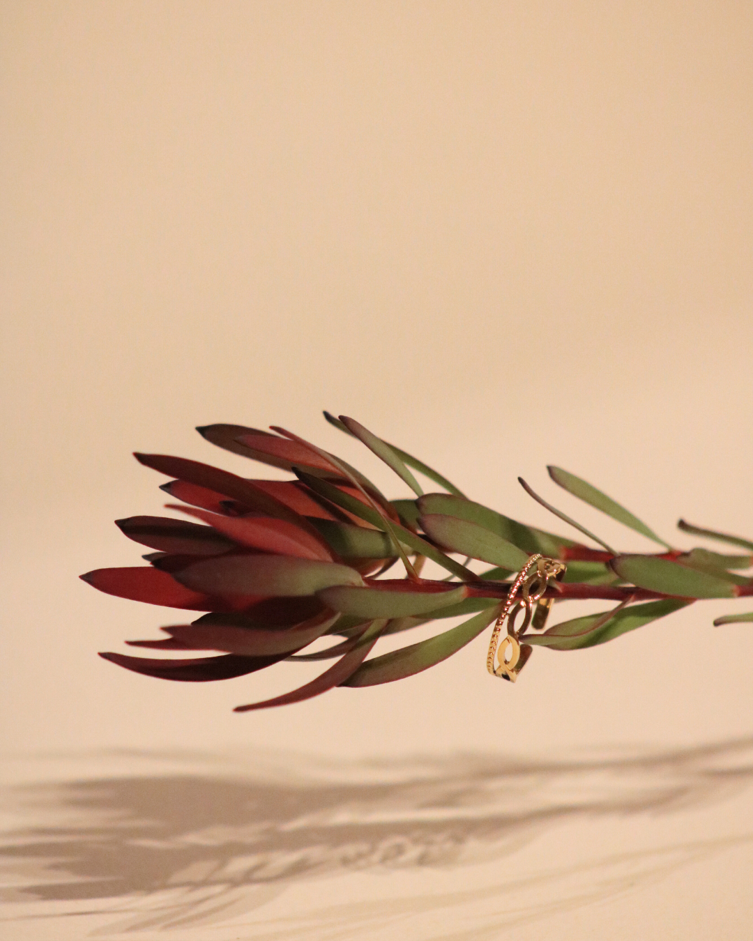 Kauneimmat lahjat (6).png