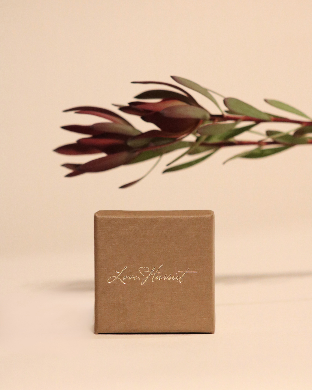 Kauneimmat lahjat (4).png