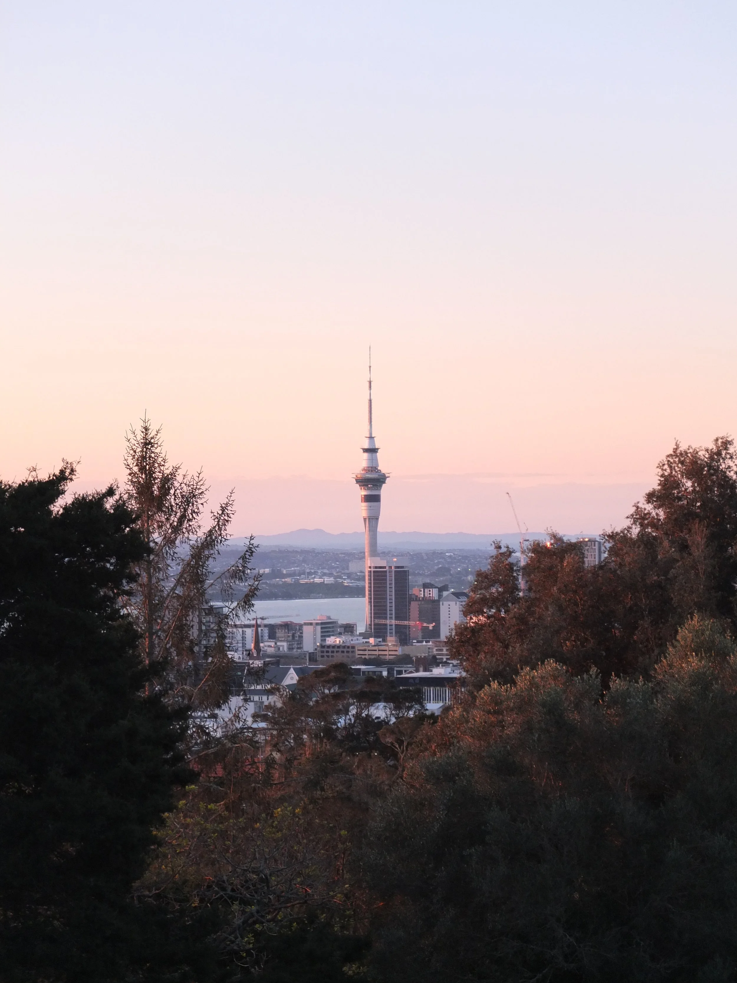 Social Media Manager Auckland - Why Local Businesses Are Outsourcing Their Social Media