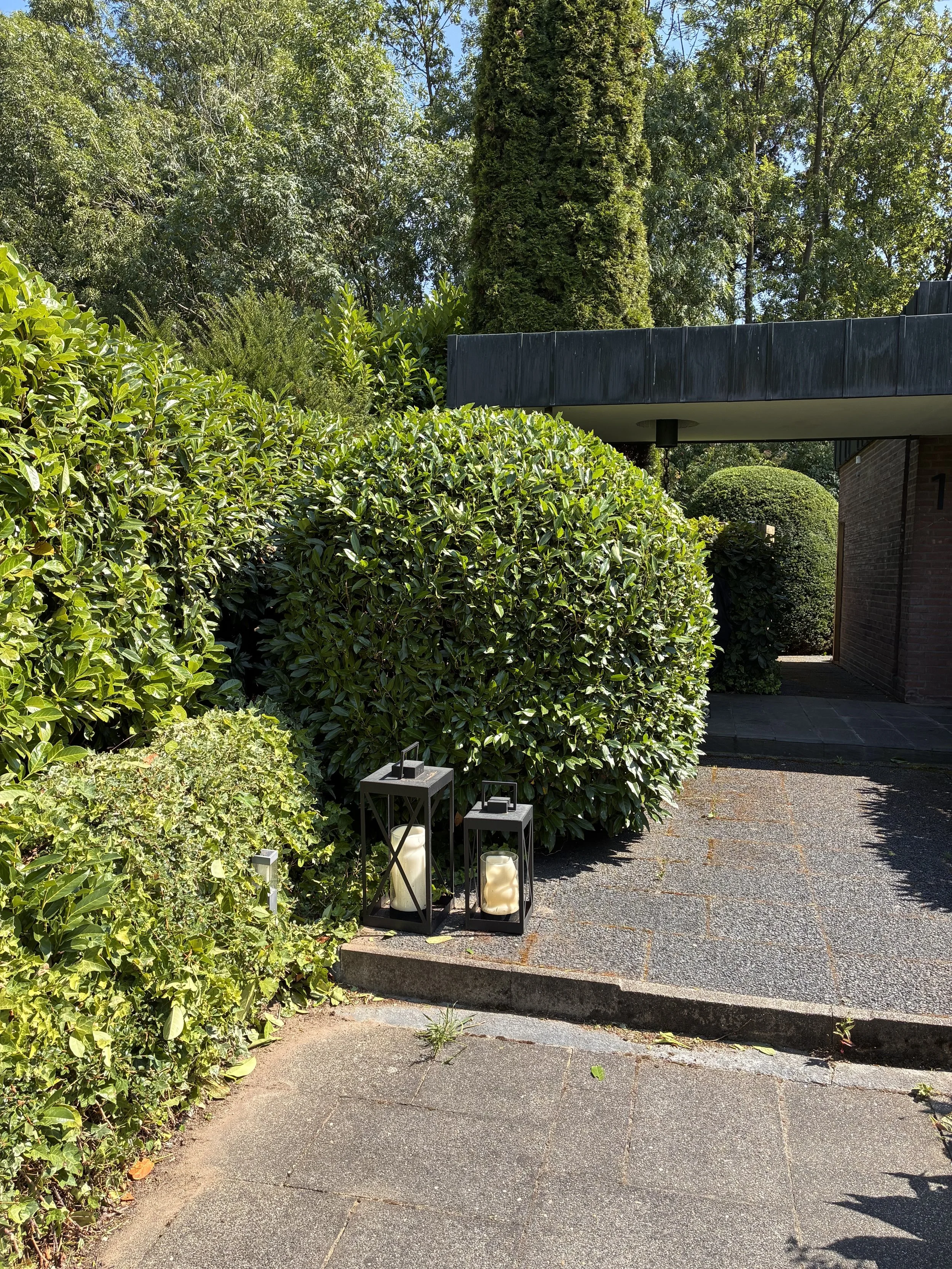 Heckenschnitt in Krefeld