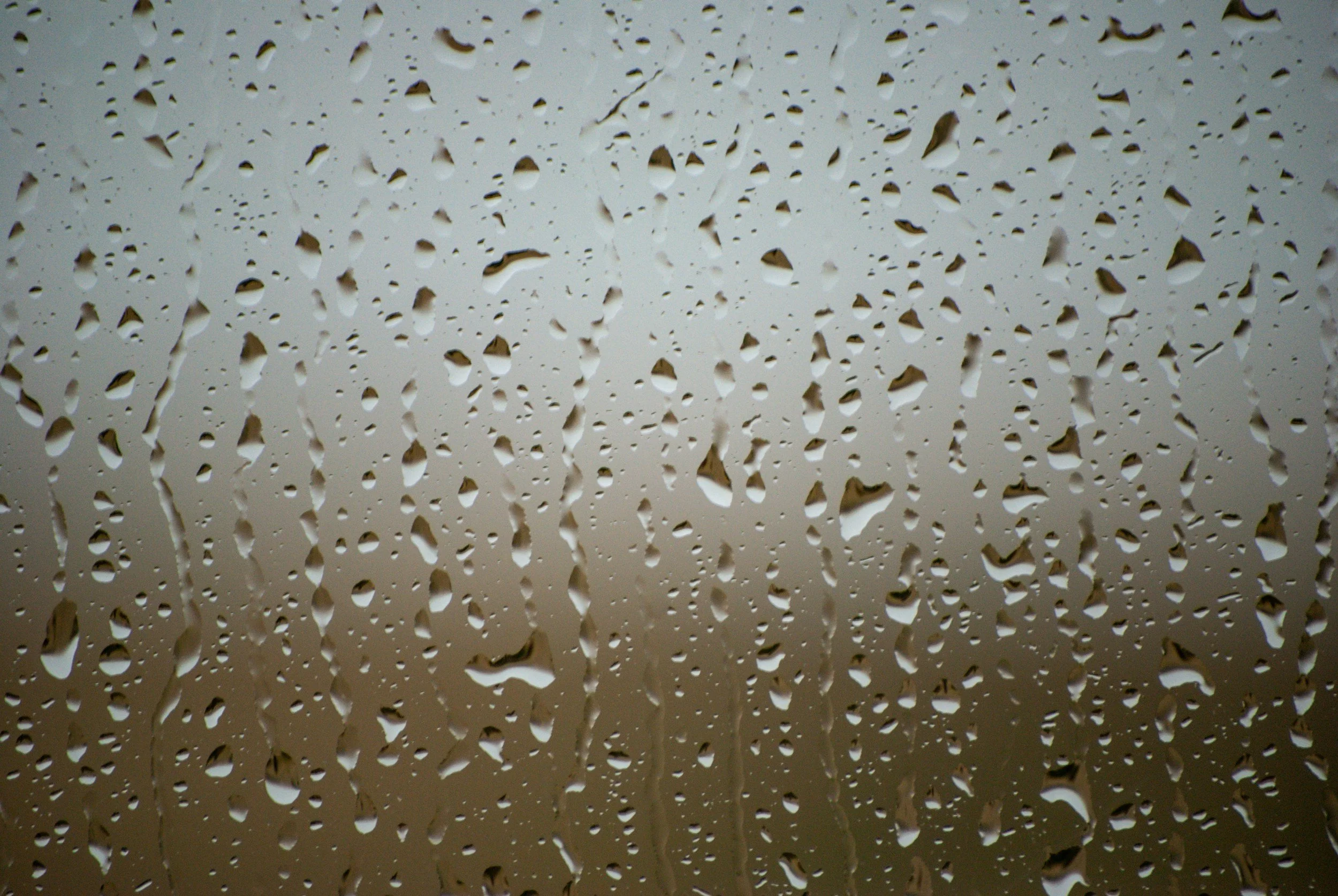 Rainy Day Activities for Kids That Don’t Involve Screens