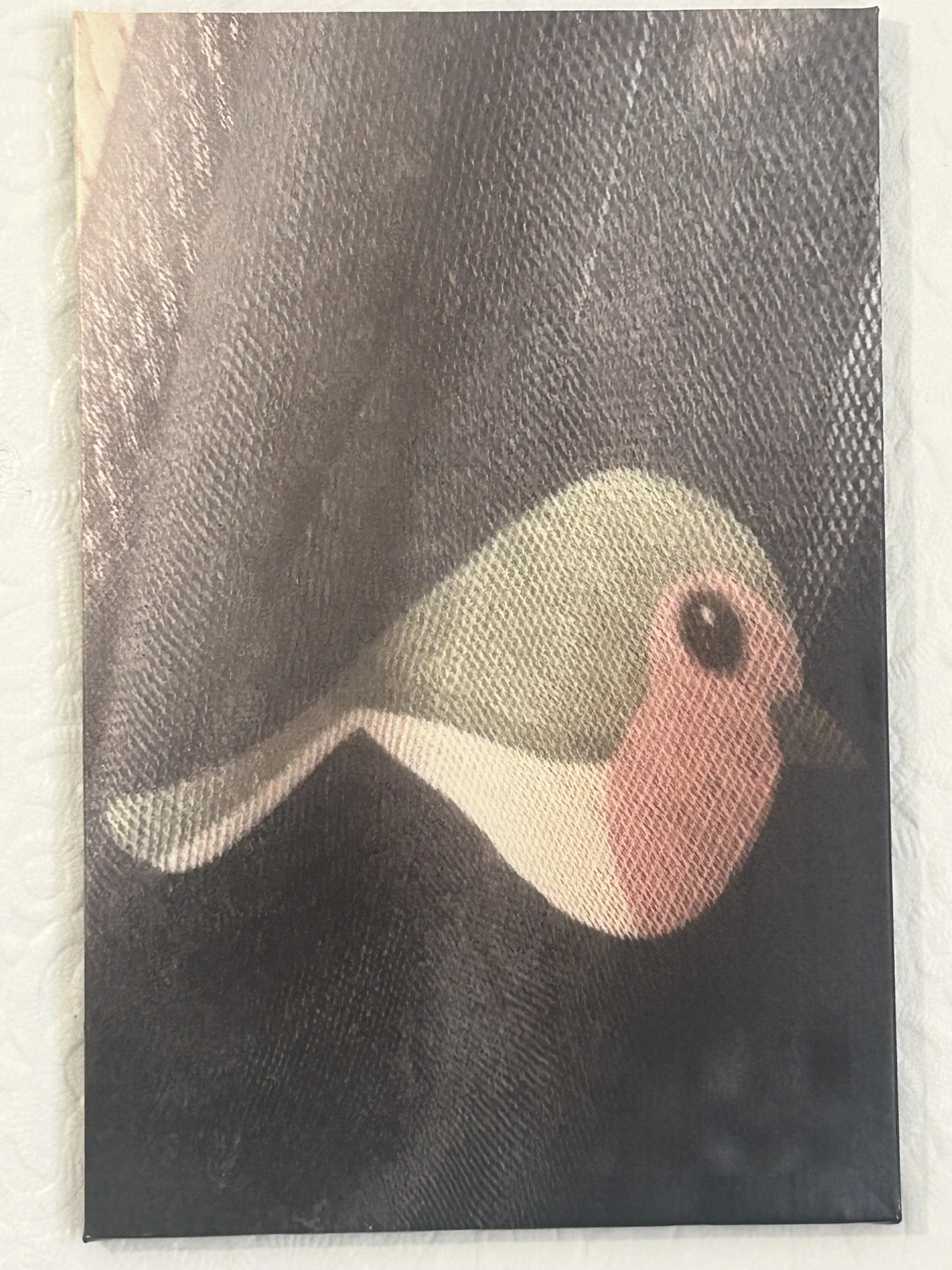Close-up of textured canvas painting of a bird, with a pink face, a white stripe, and a black eye, set against a dark background.