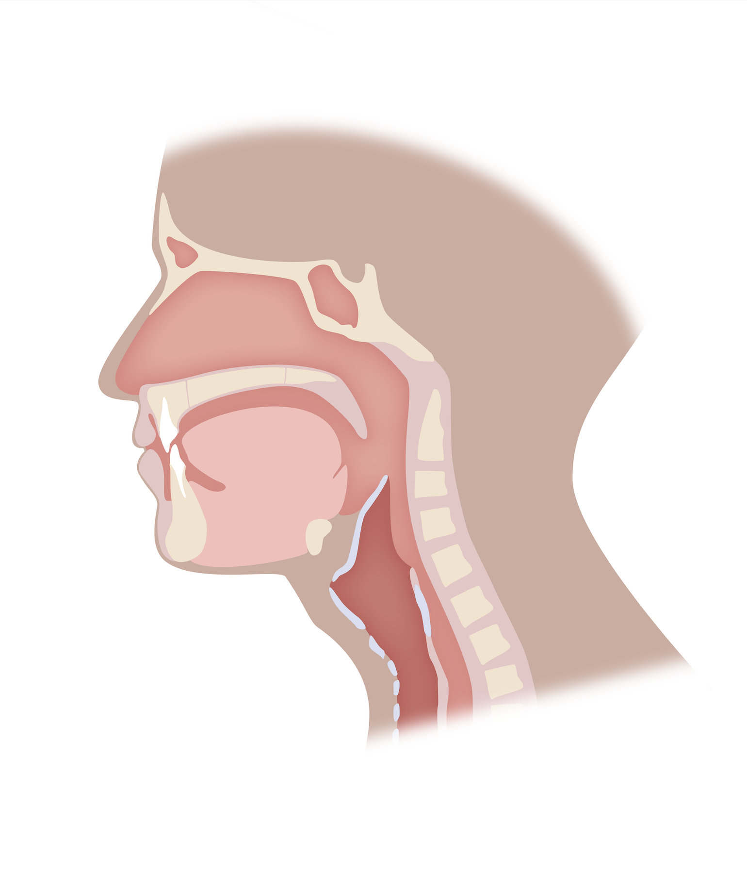 Screenshot 2025-06-16 at 13.59.26.png