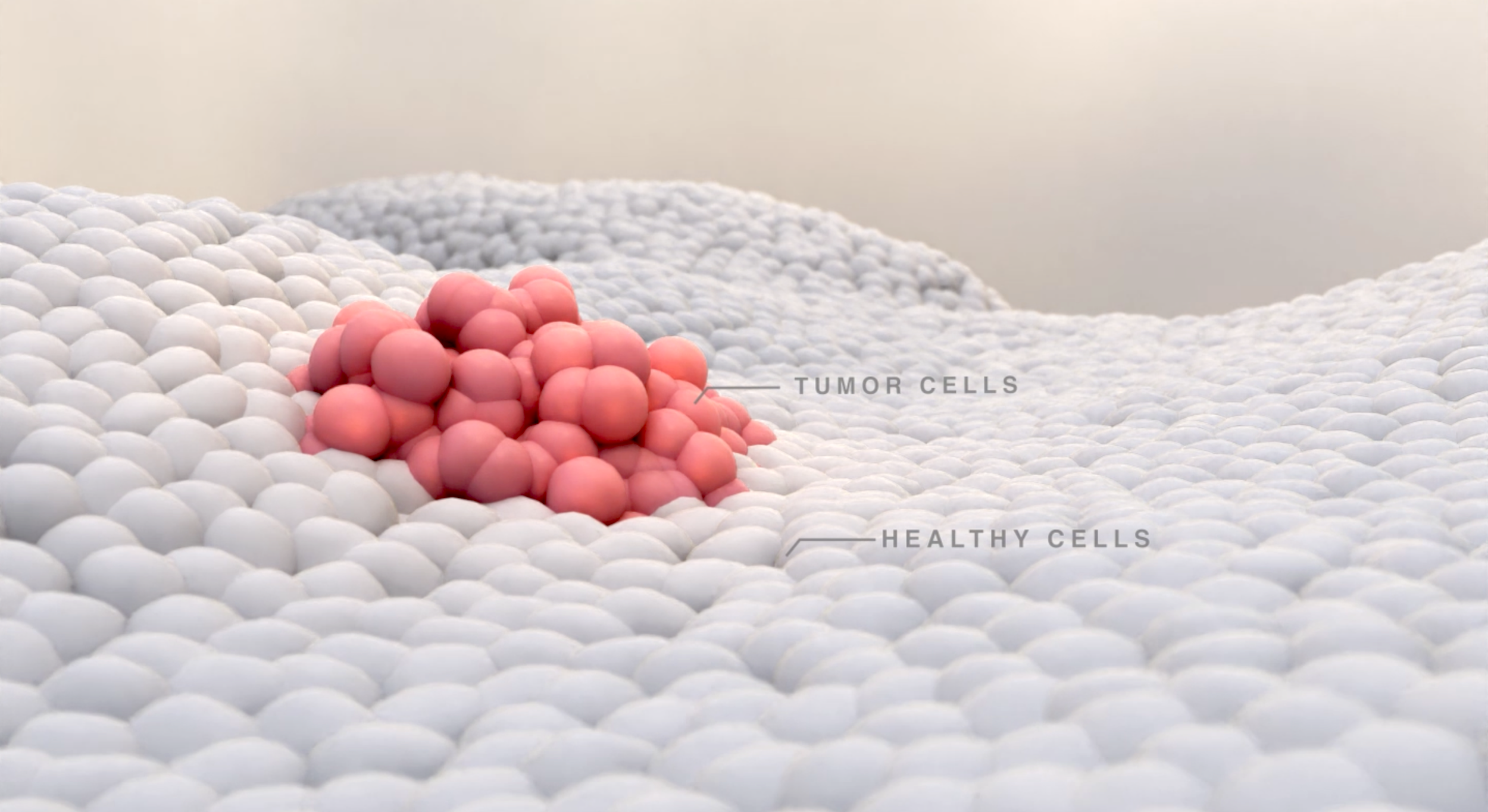 Ki-67 Cell Proliferation