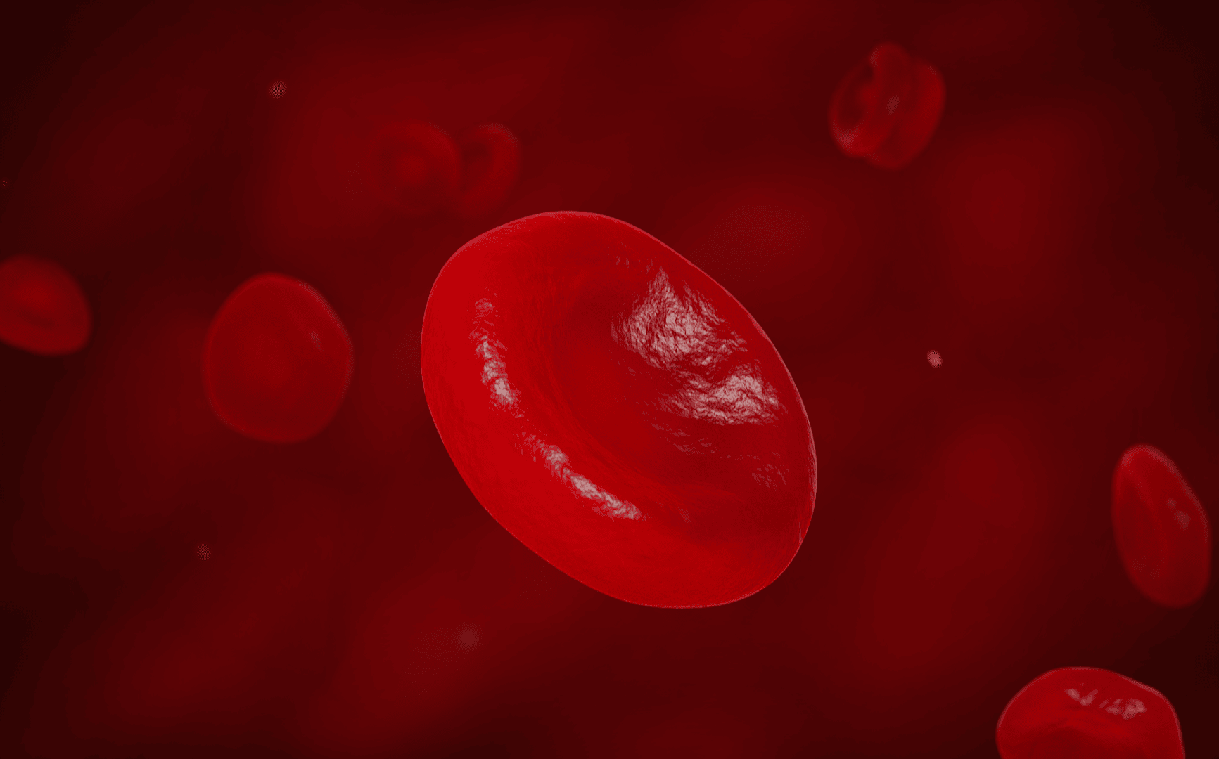 Erythrocytes