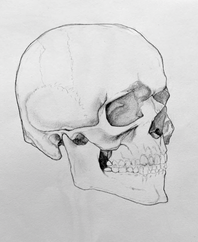 Screen Shot 2023-03-17 at 4.37.35 PM copy.png