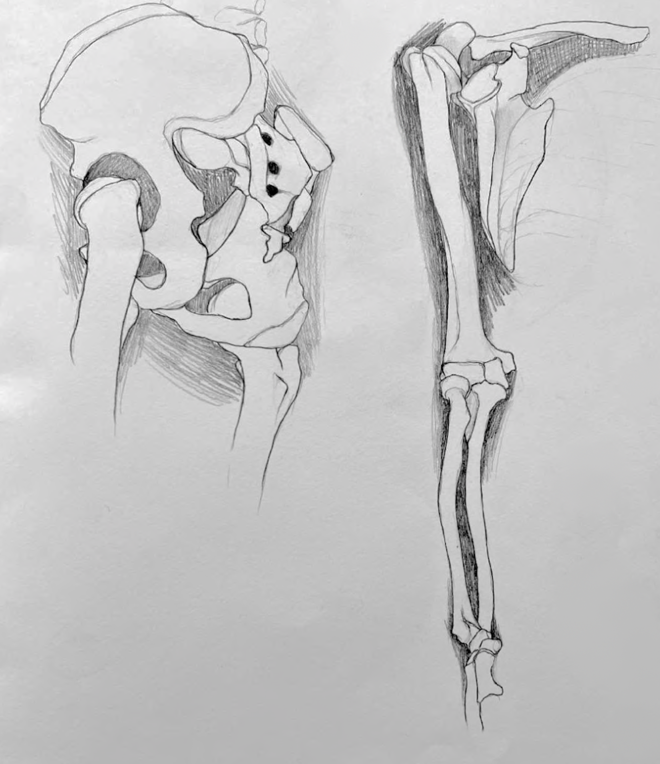 Screen Shot 2023-03-17 at 4.37.32 PM copy.png