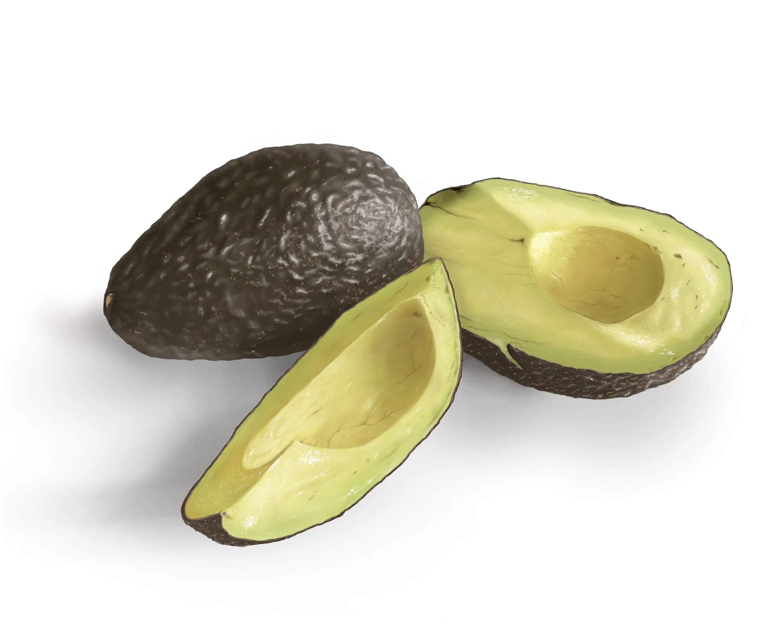 Cross Section Digital copy.JPG