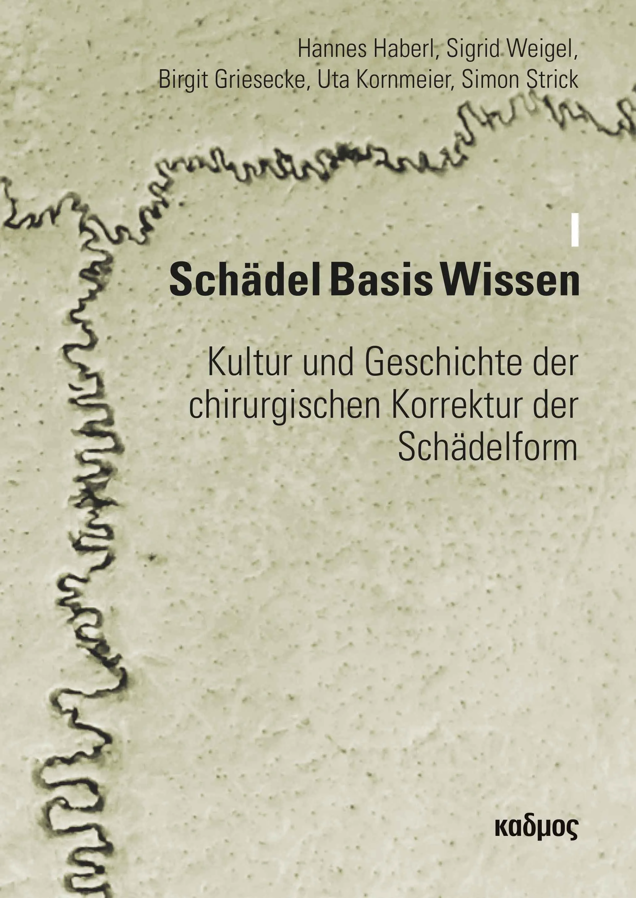 Schädel Basis Wissen I. 