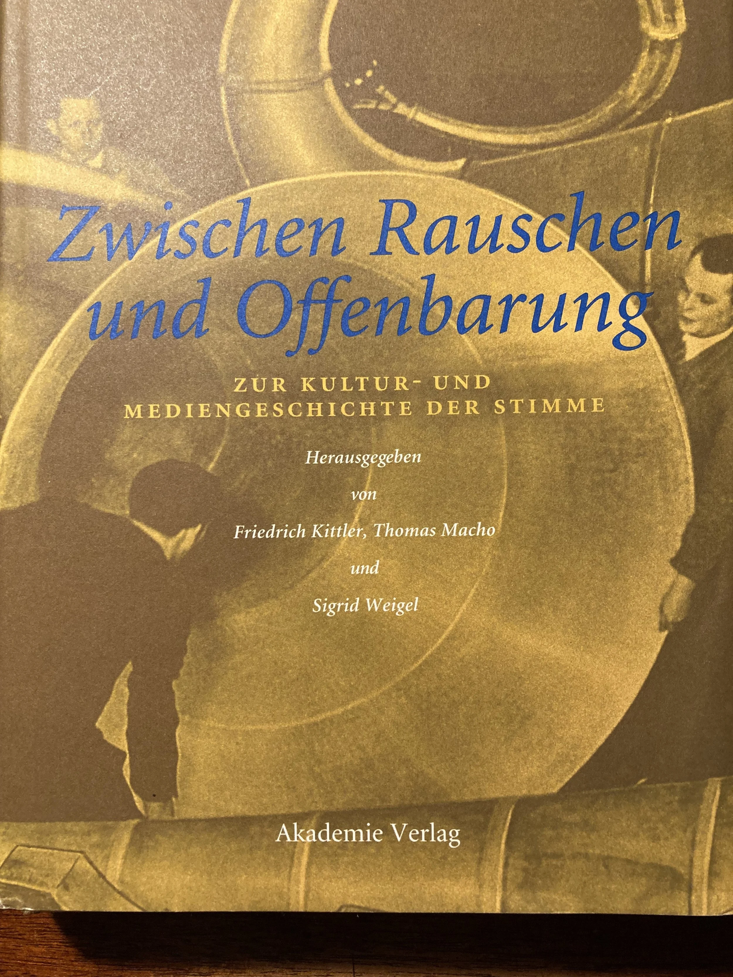 Zwischen Rauschen und Offenbarung: Zur Kultur- und Mediengeschichte der Stimme 