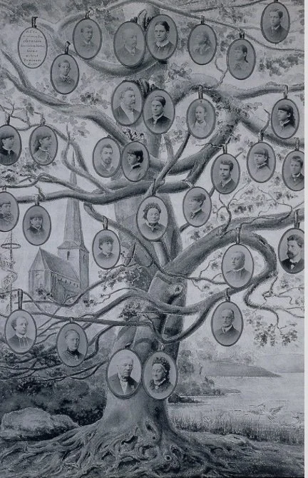 Zur Konjunktur der ‘Generation’ – zwischen Genealogie und Kohorte