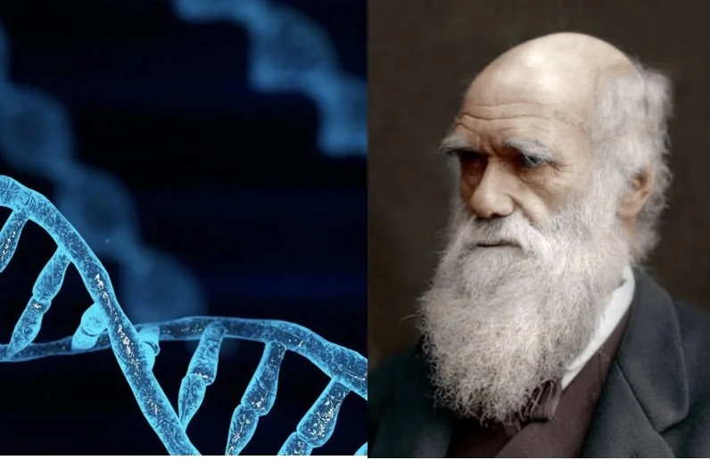 Epigenetik und Evolutionstheorie