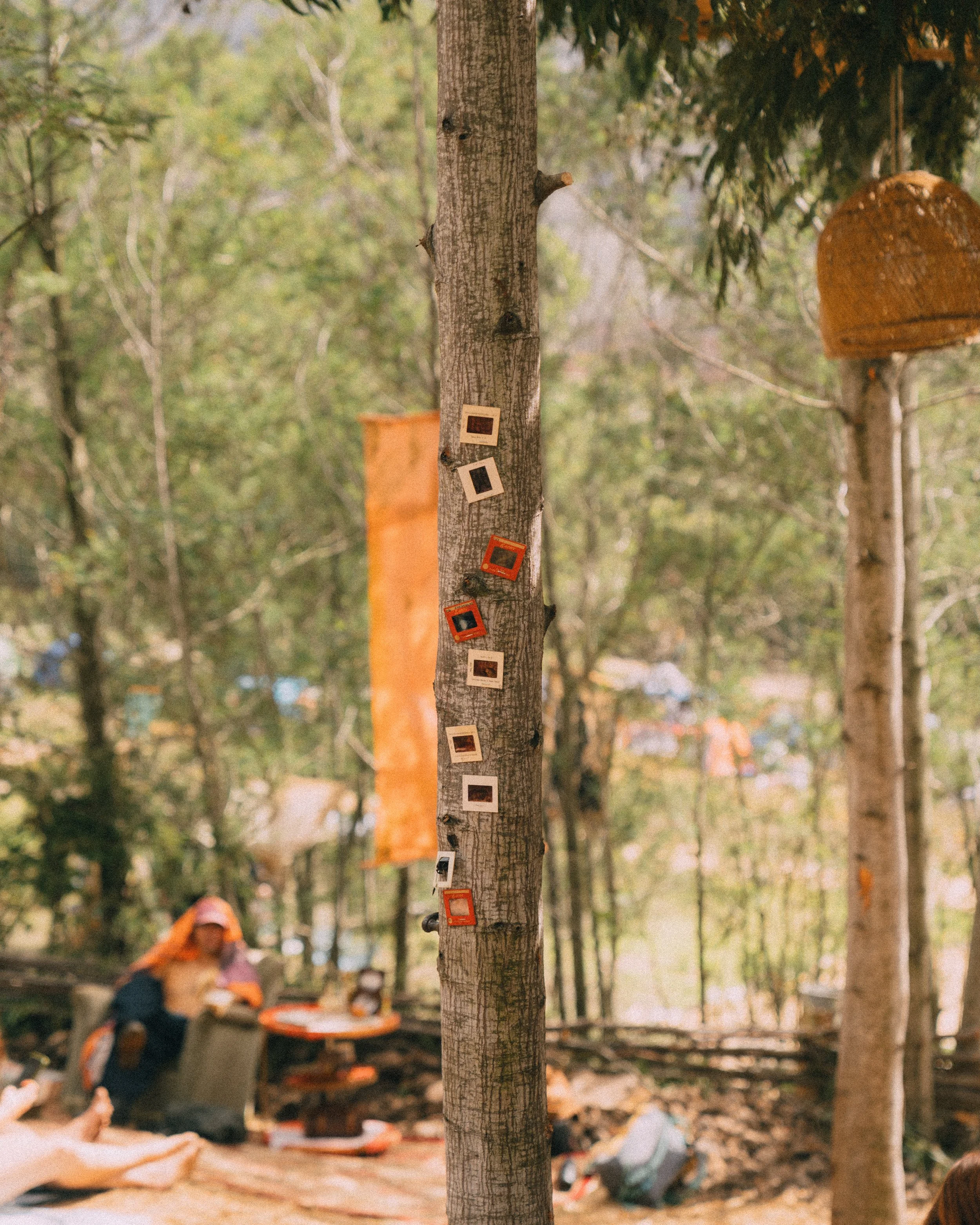 DIARYOFROSS-111.jpg