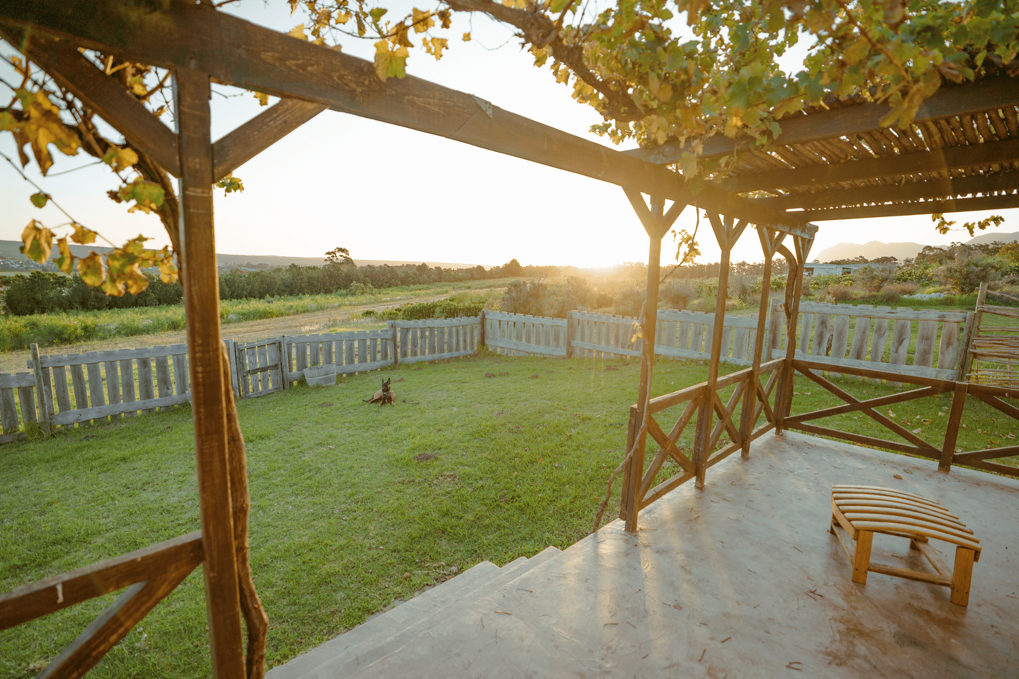 cottages 2.webp
