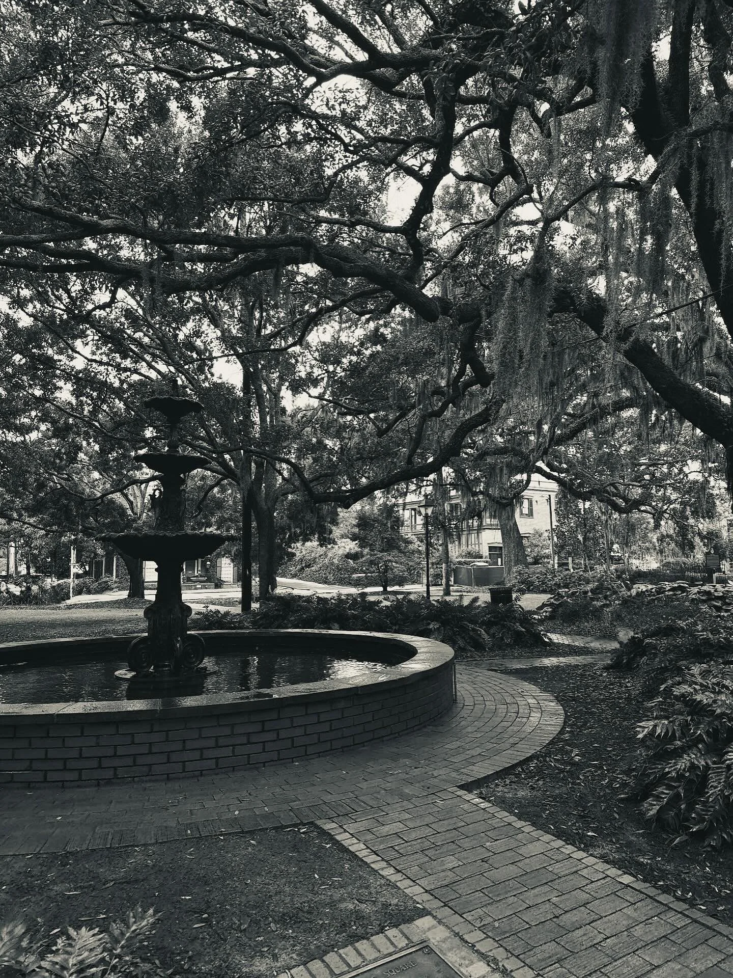 The weather like a familiar lover,
rain that never falls on you.
Trees wrapped in the embraces of moss,
their limbs like old men remembering dance.
The air tastes of salt and iron.
You walk slow through the ache of it.

Somewhere a bell keeps time fo