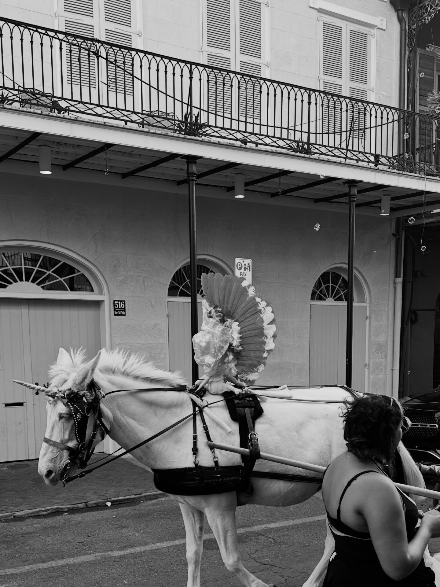 No Cheer in the City

The night comes on slow like a rumor
through the wires and the spans
and the boys in the alley are talking
but nothing they say ever lands

there&rsquo;s a light in the storefront that flickers
like it&rsquo;s trying to recall
a