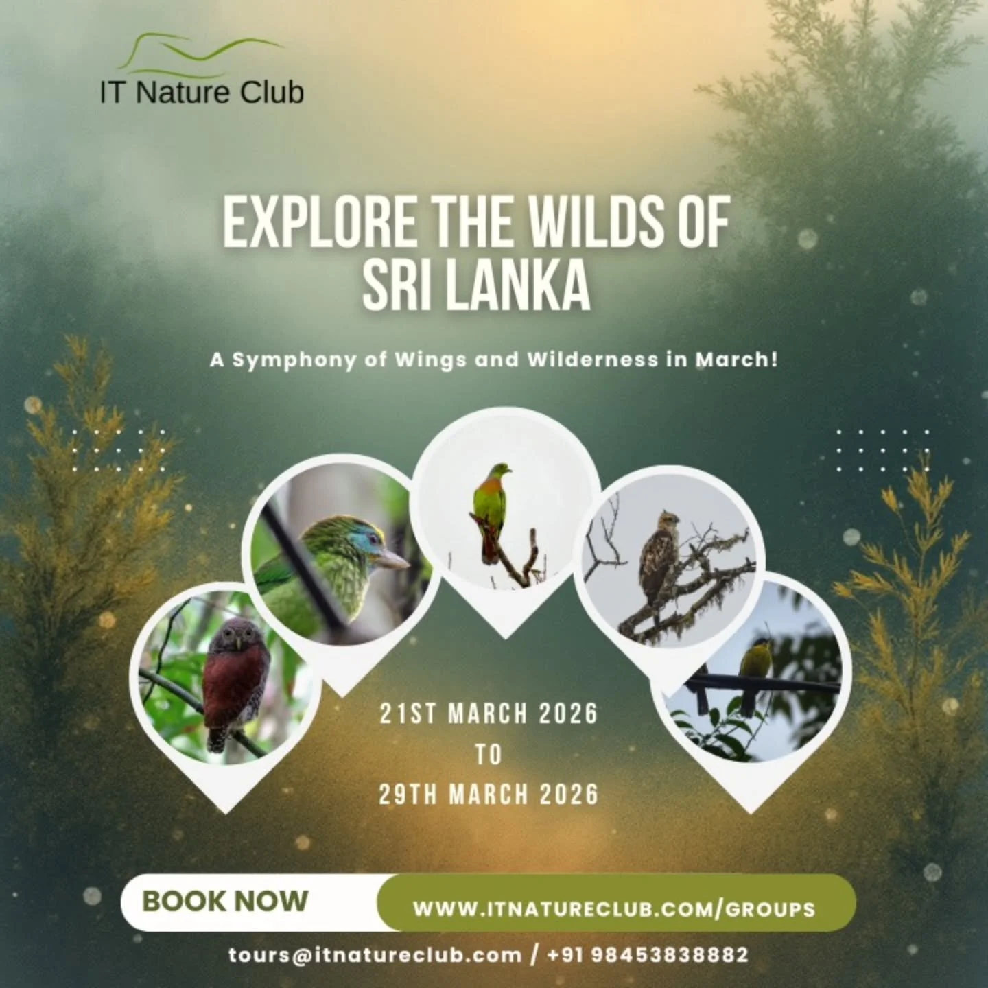 🦉 Sri Lanka Wildlife &amp; Birding Tour
A curated fixed‑departure journey through pristine habitats.
Know more 👉 click the link in the bio
Inviting you to experience the wild! 🌳✨