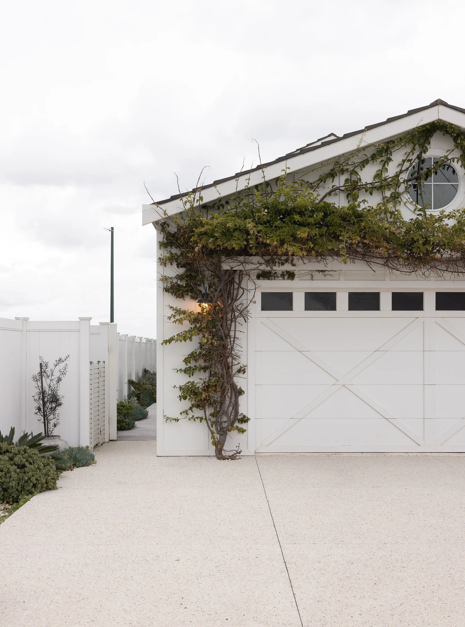 White garage door with an overhead window, surrounded by climbing vines on a white house, with a concrete driveway and garden plants on the side.