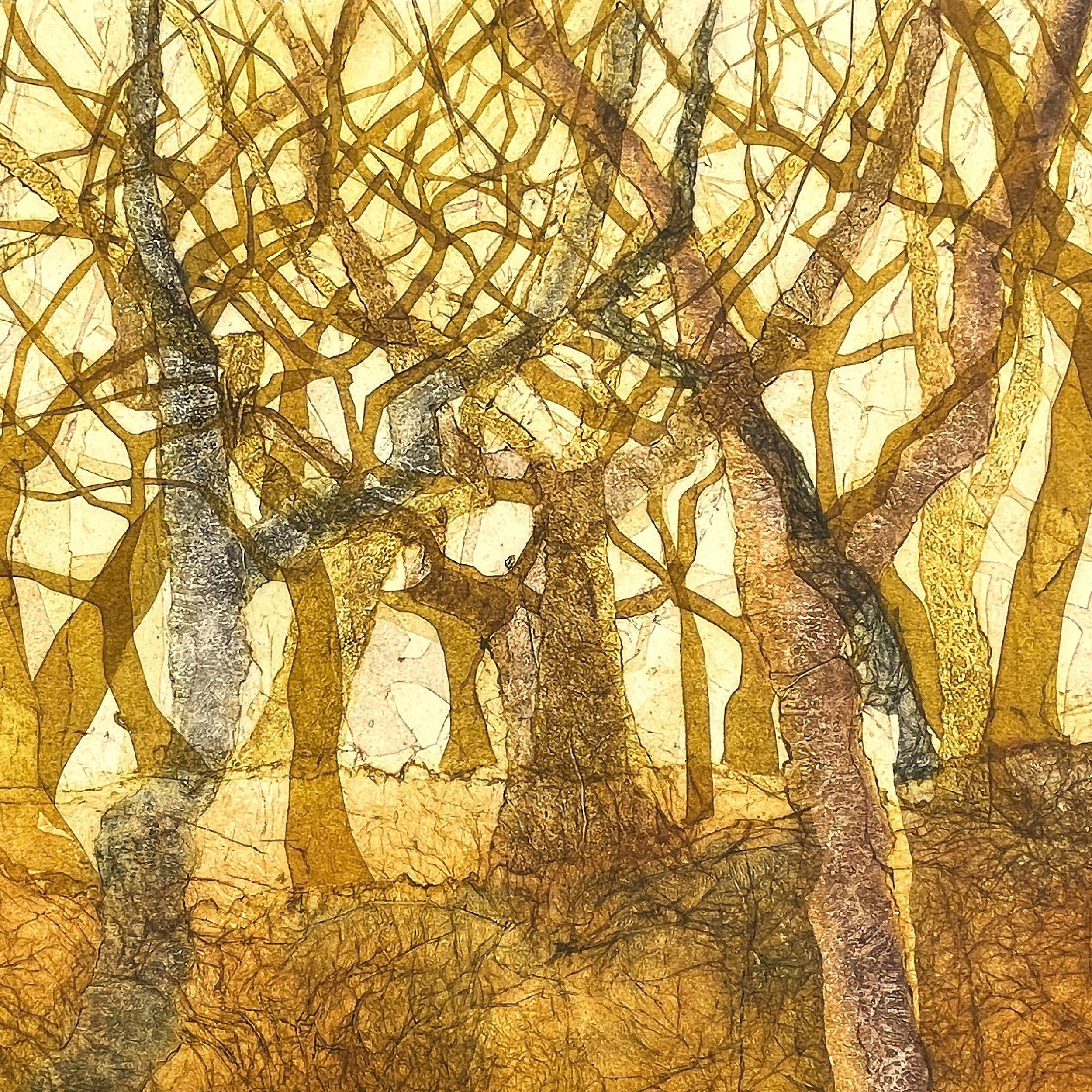 Tangled Light - Card