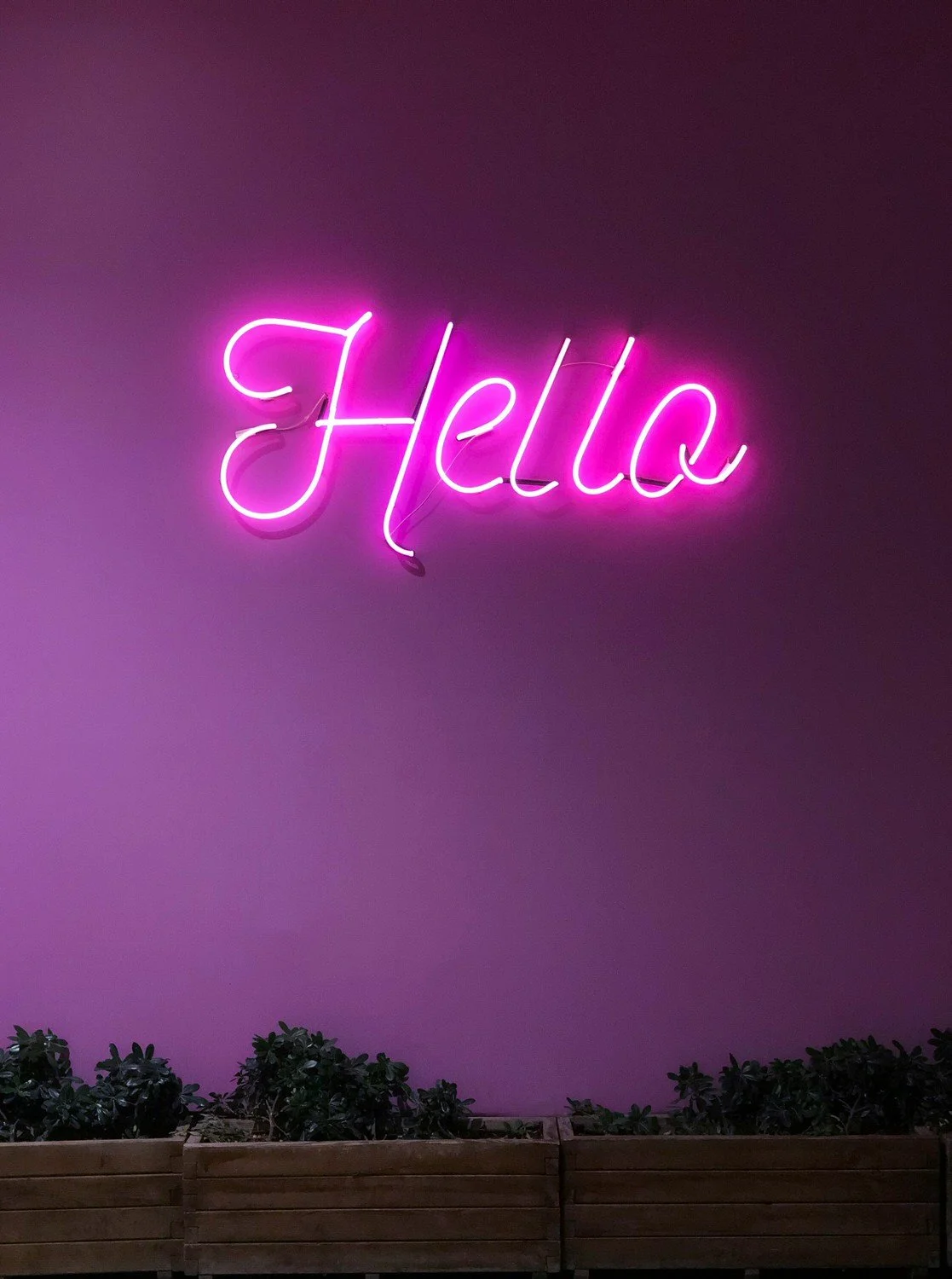 Pink neon sign that says 'Hello' on a purple wall, with green plants in wooden planters at the bottom.