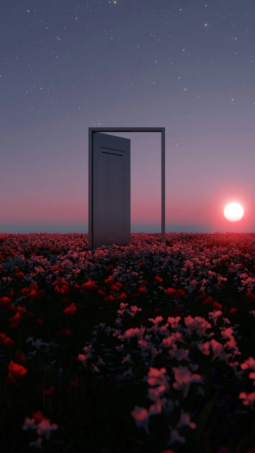A surreal scene with a full moon low on the horizon, a sky filled with stars, a field of pink and red flowers, and a black door standing alone in the field with no walls or building around it.
