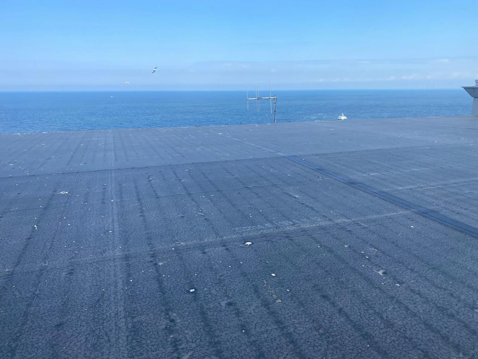 Rooftop view overlooking the ocean with a boat in the distance and two seagulls flying overhead.
