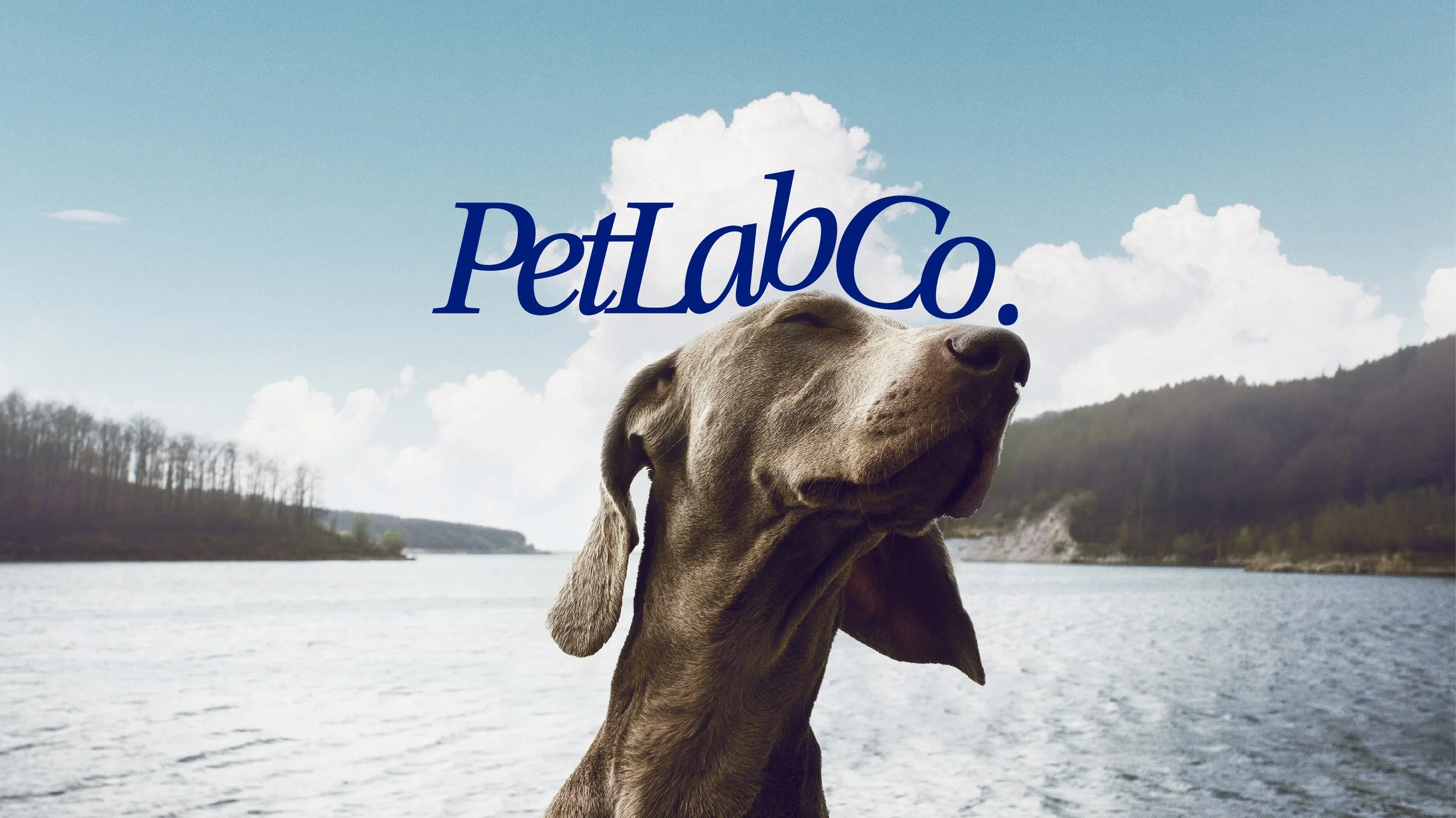 PetLabCo.