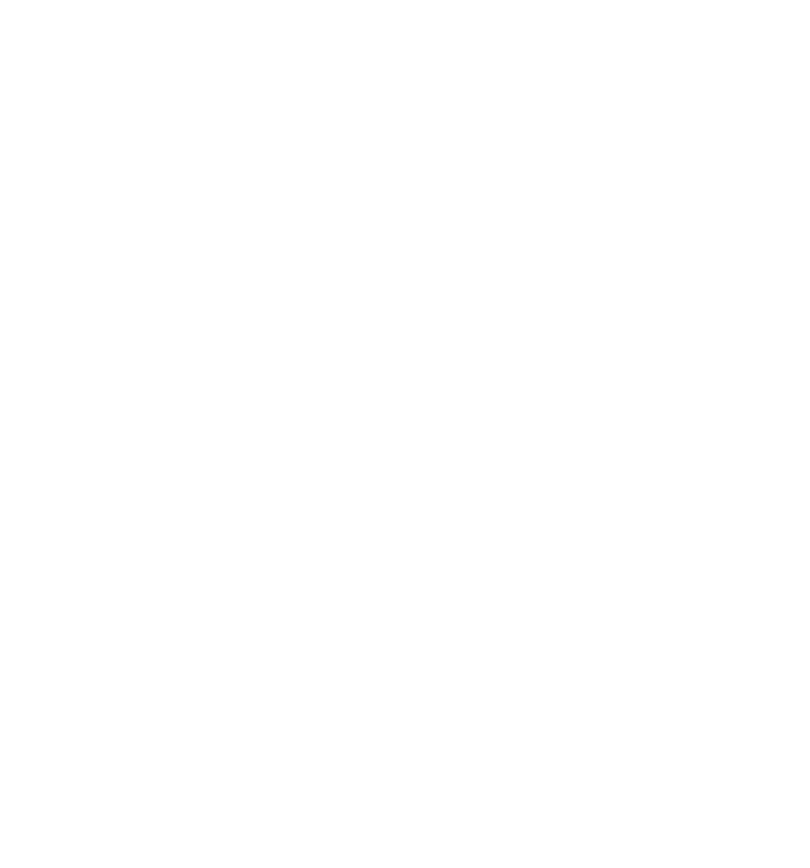 Award Dieline.png
