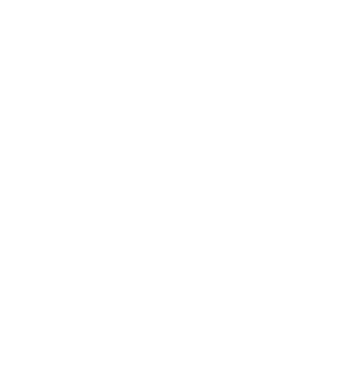 Award Dieline.png