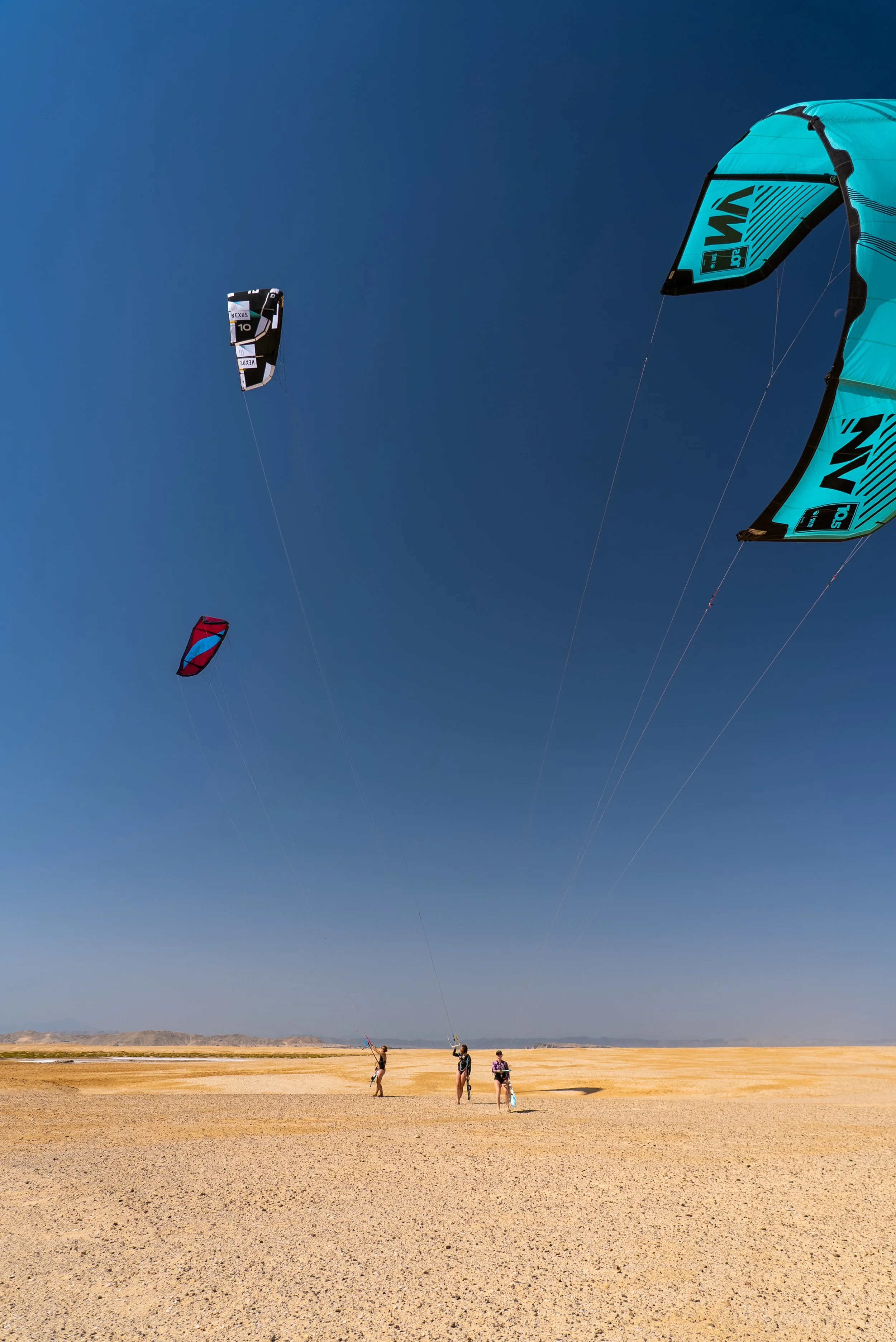 Kitesurfers standing on the beach with kites in the air