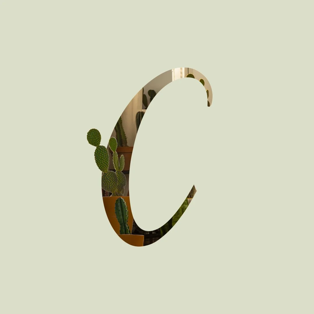 Letter C with a cut-out window showing potted cacti inside