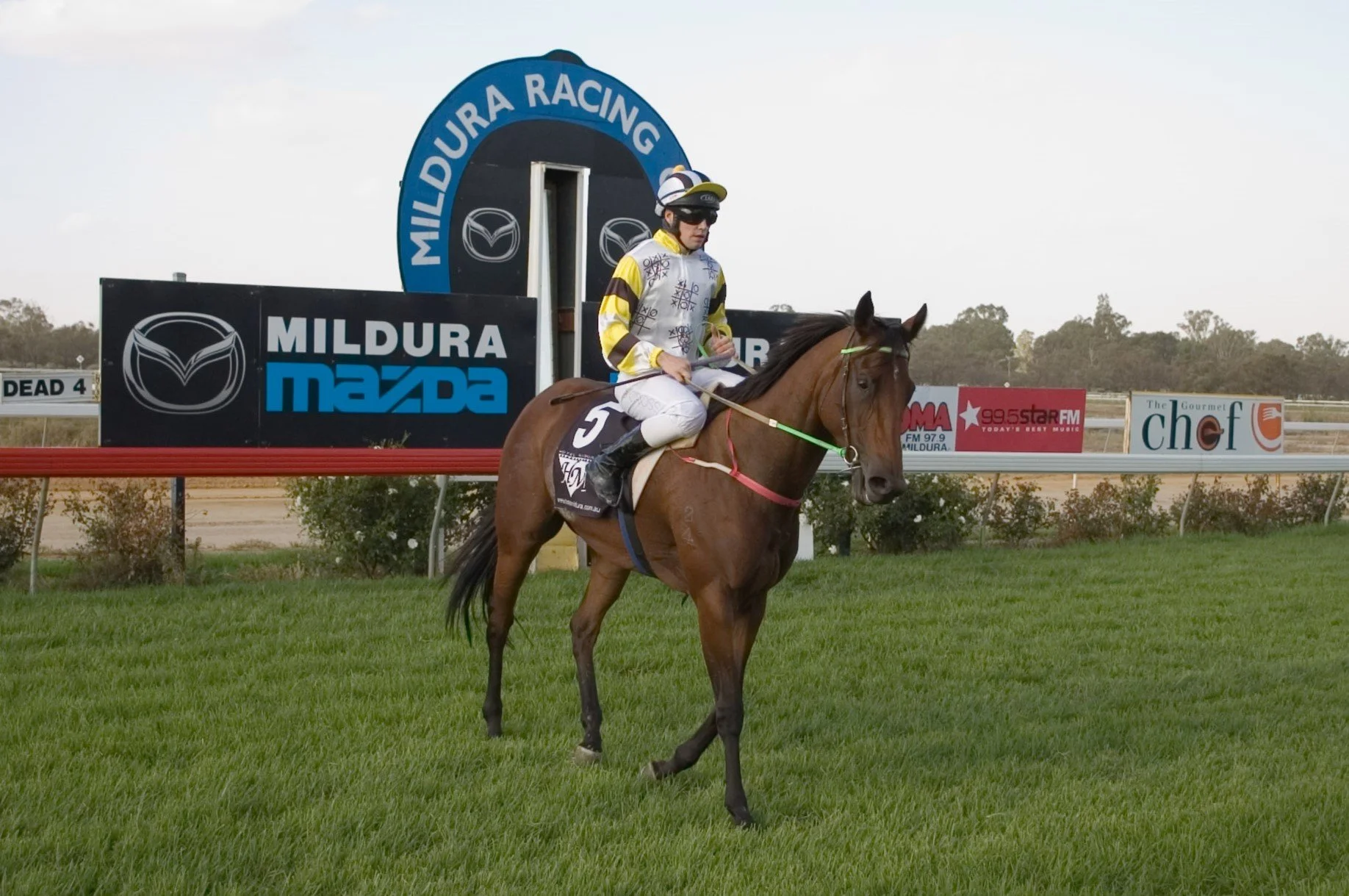 Trainer-Milkman who saved the day and backed Poon retires — Ben Sporle ...