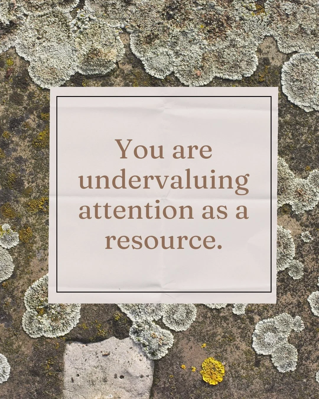 Attention is one of the most valuable resources that we have to offer our work, our children, our lives.

And in today&rsquo;s world, it is being constantly siphoned away.

The question is how do we restore it?

Attention Restoration Theory suggests 