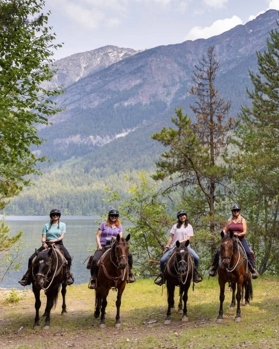 🐴 Welcoming in the Year of the Horse!

It&rsquo;s been a minute since I posted on here, and many things have changed.

Society of Trees is galloping into the new year bringing new offerings as well as opening for business in&hellip; Sydney, Australi